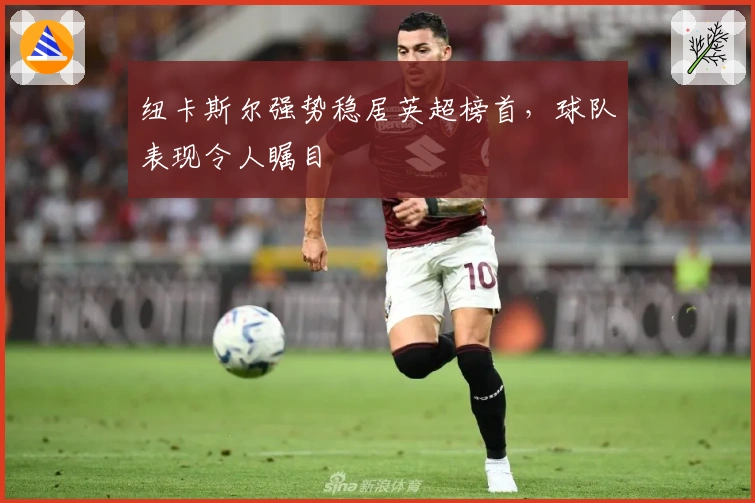 纽卡斯尔强势稳居英超榜首，球队表现令人瞩目