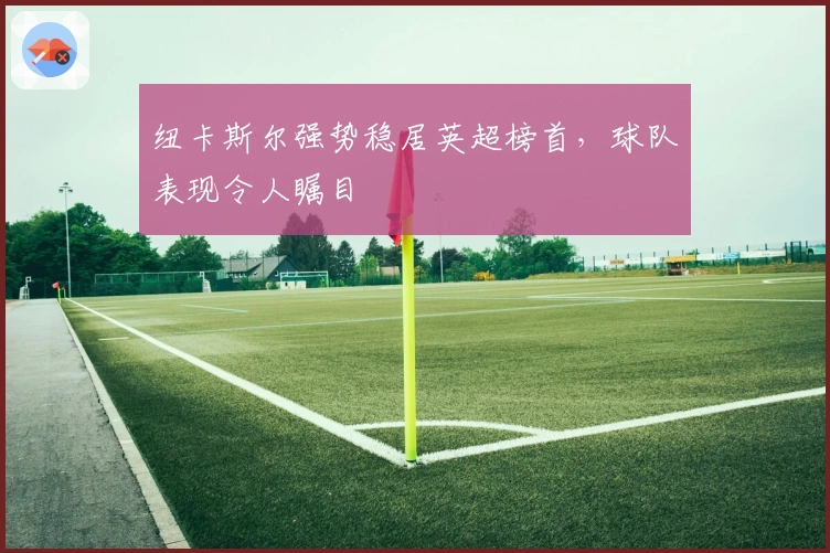 纽卡斯尔强势稳居英超榜首，球队表现令人瞩目